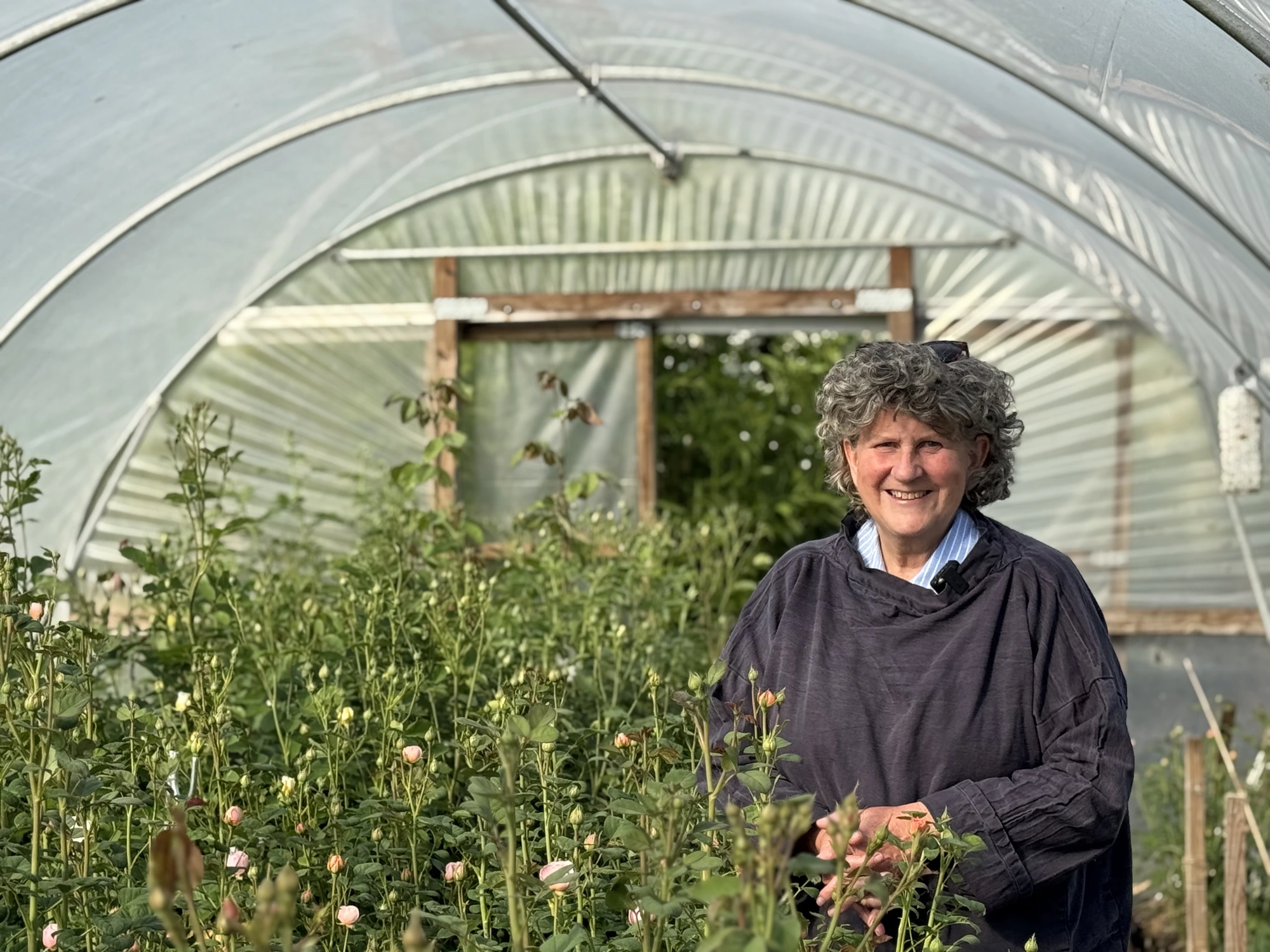 Roz Chandler, flower farmer and co-founder of the British Sustainable Floristry Academy, in her polytunnel of British-grown roses